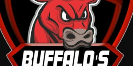 Imagem do grupo de WhatsApp Buffalos Divulga
