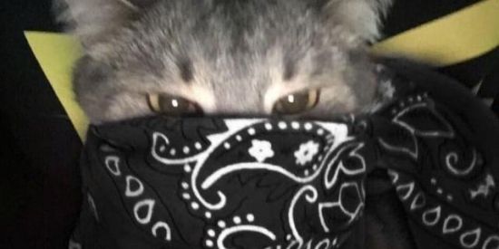 Imagem do grupo de WhatsApp Grupo de engajamento instagram 😌