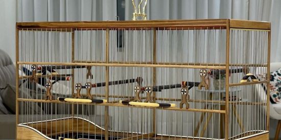 Imagem do grupo de WhatsApp RIFA SHOW GAIOLAS DE LUXO