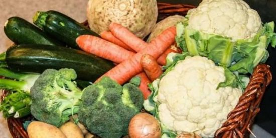 Imagem do grupo de WhatsApp Agricultura orgânica