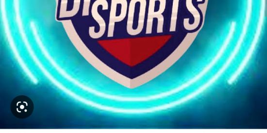 Imagem do grupo de WhatsApp Palpites esportivos grupo Vip