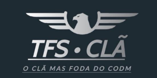 Imagem do grupo de WhatsApp RECRUTAMENTO TFS