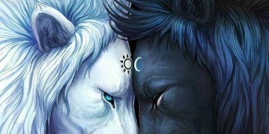 Imagem do grupo de WhatsApp De volta ao Éden 🍃🌻