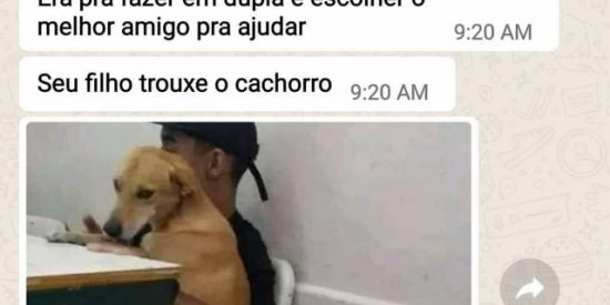 Imagem do grupo de WhatsApp ZOEIRA 2.0