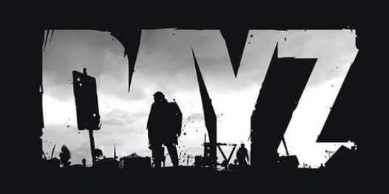 Imagem do grupo de WhatsApp DAYZ BRASIL