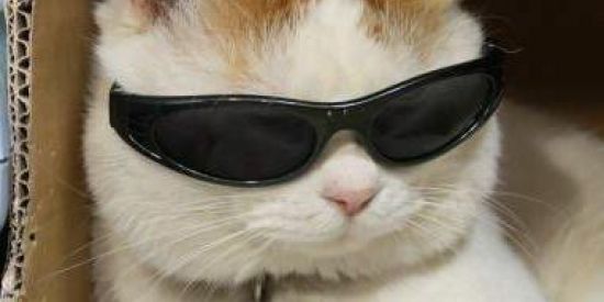 Imagem do grupo de WhatsApp Web familia👉👈❤