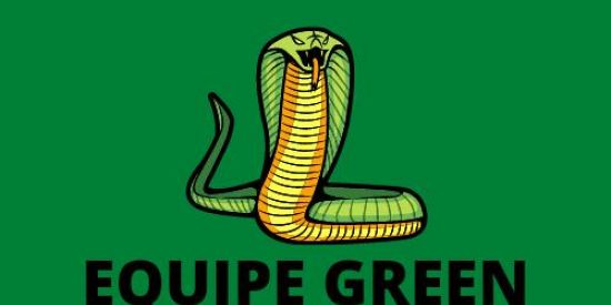 Imagem do grupo de WhatsApp 💚 TRIAGEM GREEN 💚