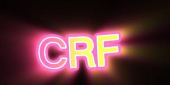 Imagem do grupo de WhatsApp 🥵👻CRF RECRUTA 1.0 👻🥵