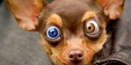 Imagem do grupo de WhatsApp Fofocas 🤫