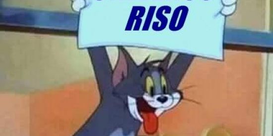 Imagem do grupo de WhatsApp 🌎💢UNIVERSO🤣®️ISO