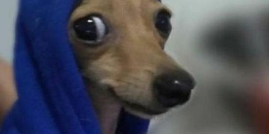 Imagem do grupo de WhatsApp Resenha, Amizade e humor🇧🇷