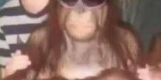 Imagem do grupo de WhatsApp Macacos baianos
