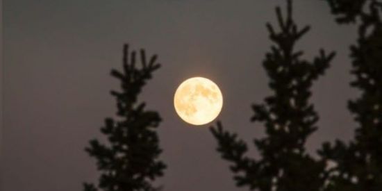 Imagem do grupo de WhatsApp 𓂀🌙 𝕄𝕠𝕠𝕟 𝕊𝕡𝕠𝕣𝕥𝕤! 🌙𓂀