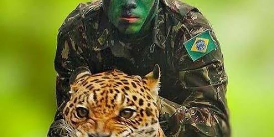 Imagem do grupo de WhatsApp Pátria Amada Brasil