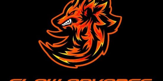 Imagem do grupo de WhatsApp Teste Flow Advance