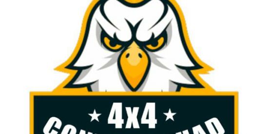 Imagem do grupo de WhatsApp Grupo de 4x4🥋🐉