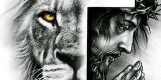 Imagem do grupo de WhatsApp Leão de Judá