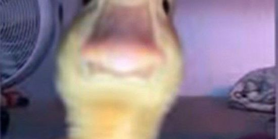 Imagem do grupo de WhatsApp Views nos status ~🇧🇷