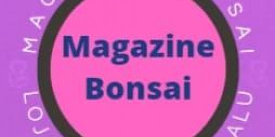 Imagem do grupo de WhatsApp Magazine Bonsai - Oferta1