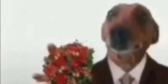 Imagem do grupo de WhatsApp ஓீ͜𝐂𝐇𝐀͢𝐓🌴𝐃𝚯͢𝐒🌴𝐂𝐑͢𝐢𝐀͢⿻͡🕊️