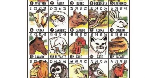 Imagem do grupo de WhatsApp 🍀🐕Jogo dos bichos PT RIO 🐈🍀