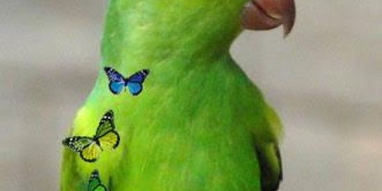 Imagem do grupo de WhatsApp 🔮Grupo de amizade 🔮