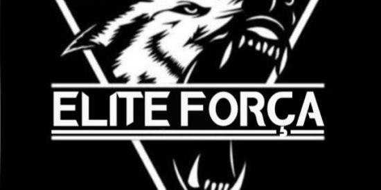Imagem do grupo de WhatsApp FREE FARE ELITE FORÇA