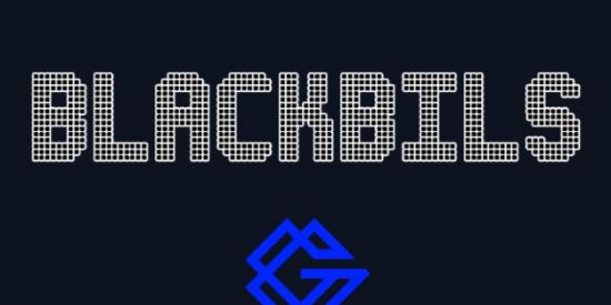 Imagem do grupo de WhatsApp BLACKBILS