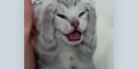 Imagem do grupo de WhatsApp Anjinhas (os) 🤫