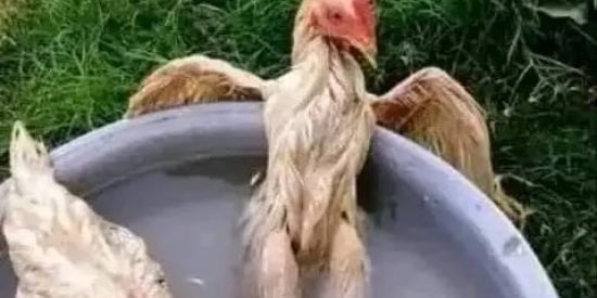 Imagem do grupo de WhatsApp Amizade e namoro