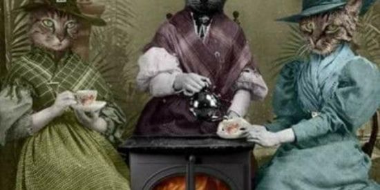 Imagem do grupo de WhatsApp ✨Casa da BRUXA 🐈‍⬛✨