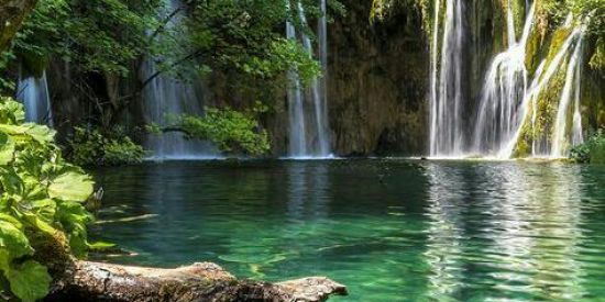 Imagem do grupo de WhatsApp ♡~Grupo da natureza~♡