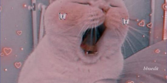 Imagem do grupo de WhatsApp V͇̿I͇̿P͇̿𝕋𝕖𝕟𝕥𝕖 ℕ𝕒𝕠 𝕊𝕖 𝔸𝕡𝕒𝕚𝕩𝕠𝕟𝕒𝕣乂