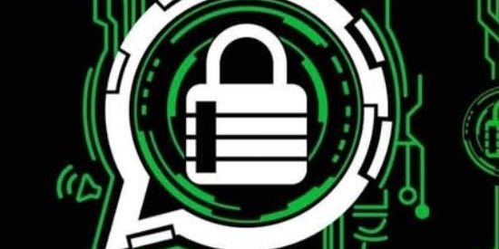 Imagem do grupo de WhatsApp ⏤͟͞𝛬𝐿𝛩𝑁𝛯 𝜣𝑭 𝐅𝛯𝐿𝛩𝑍ꫂ