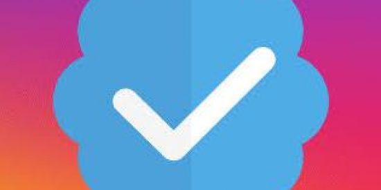 Imagem do grupo de WhatsApp ✅erificados Instagram