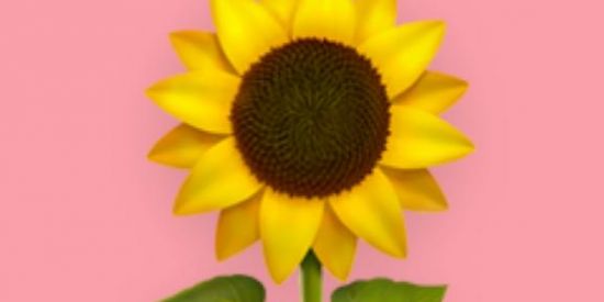 Imagem do grupo de WhatsApp 🌻🤍Laay Premiações🤍🌻