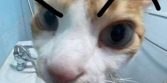 Imagem do grupo de WhatsApp ~H•O•S•P•I•C•I•O~