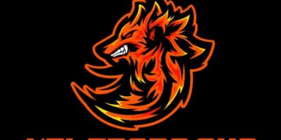 Imagem do grupo de WhatsApp GUILDA VTL TROPA AHS