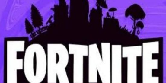 Imagem do grupo de WhatsApp Fortnite BR |NFD