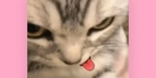 Imagem do grupo de WhatsApp Só meninas❤‍🔥