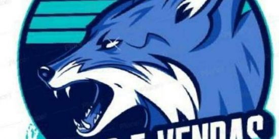 Imagem do grupo de WhatsApp TROCAS E VENDA FF