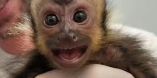 Imagem do grupo de WhatsApp 𝐒𝐀𝐅𝐄𝐙𝐎𝐍𝐄