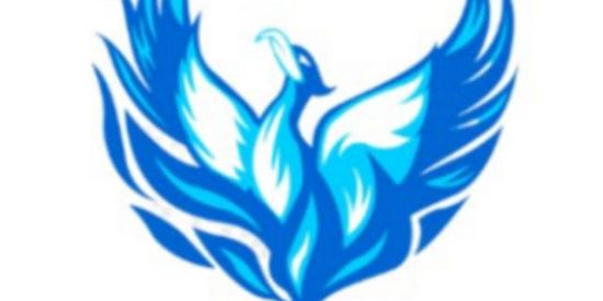 Imagem do grupo de WhatsApp Teste team fênix vip