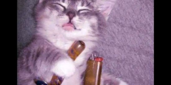 Imagem do grupo de WhatsApp ɢʀᴜᴘᴏㅤᴅᴇㅤᴀᴍɪᴢᴀᴅe👥