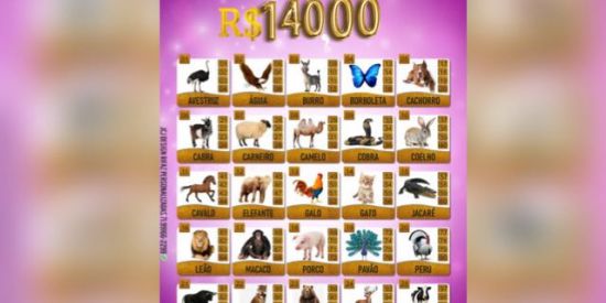 Imagem do grupo de WhatsApp 🍀Mirella premiações🍀