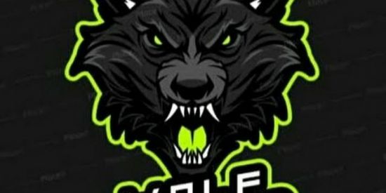 Imagem do grupo de WhatsApp G a m e r