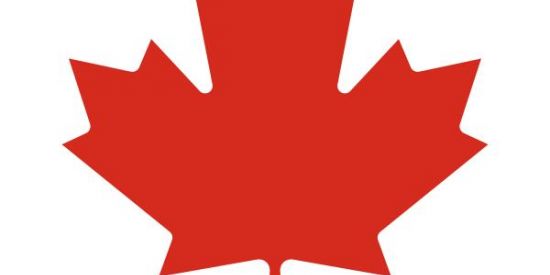 Imagem do grupo de WhatsApp Tropa  do  Canadá 🇨🇦🇨🇦🇨🇦