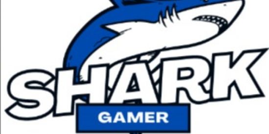 Imagem do grupo de WhatsApp Shark Gamer