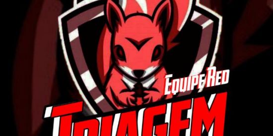 Imagem do grupo de WhatsApp ⚡TRIAGEM EQP RED ✧Rɠ'ร✧️❤️