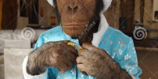 Imagem do grupo de WhatsApp OS RETARDADOS DO BRASIL 🫶🏻